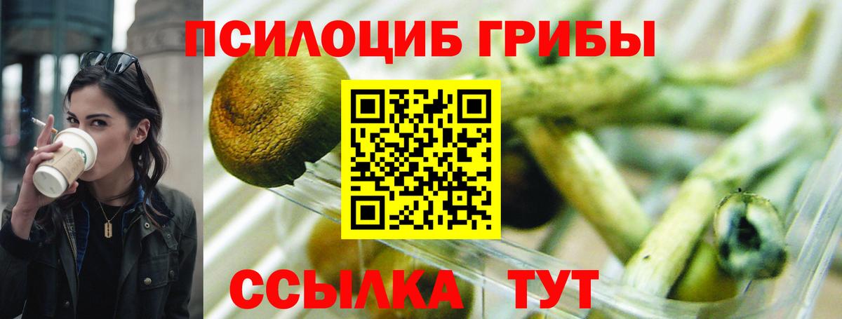 Биробиджан  Галлюциногенные грибы прущие грибы  Вход с VPN  Галлюциногенные грибы Psilocybe 